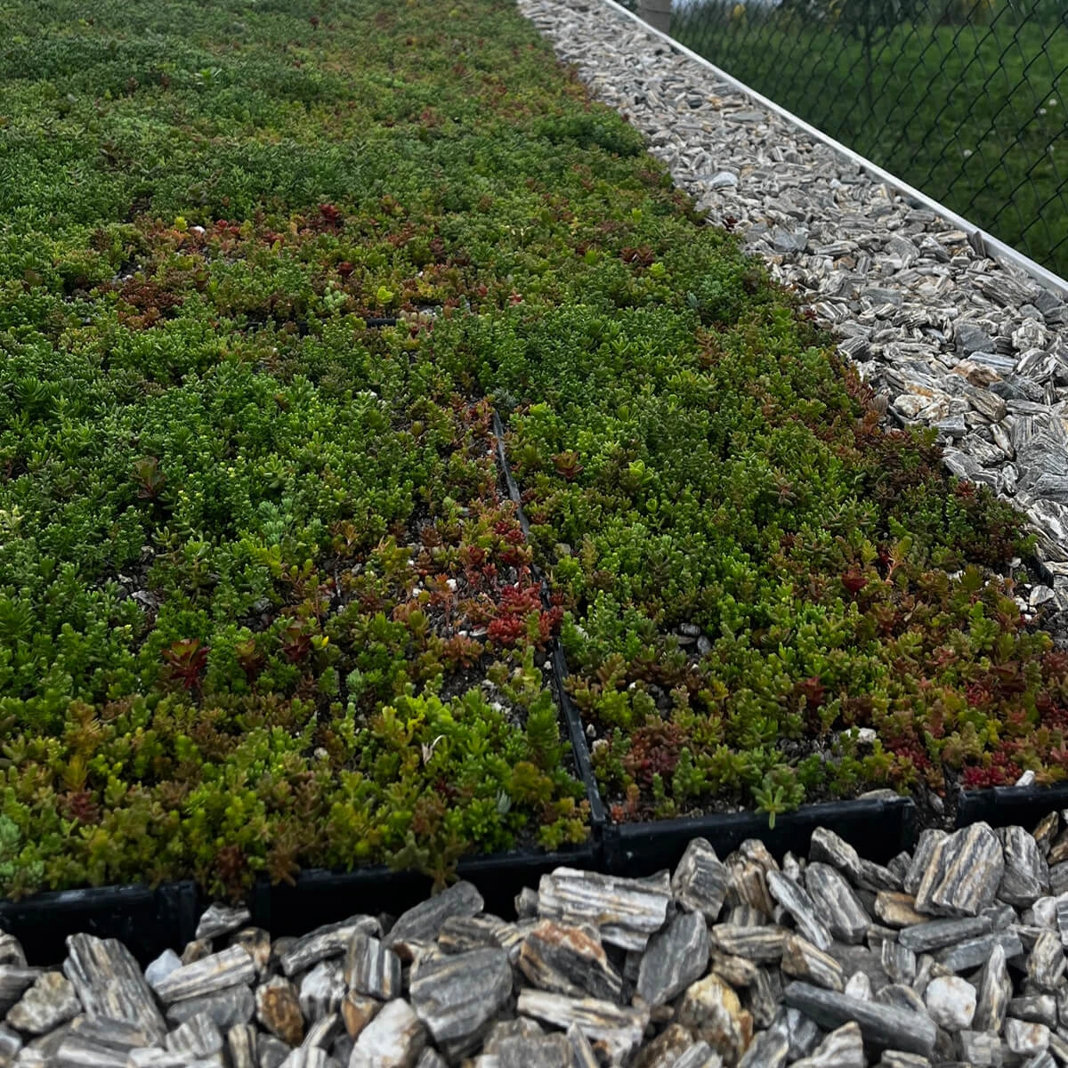 Moje zelená střecha